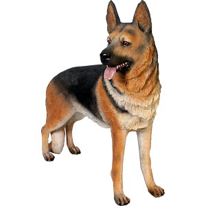 VFp[h German Shepherd vX`bN (FRP) A[gIuWF A  u  O K[fjO f   I[ig   K[f tBMA CeA Aj}  