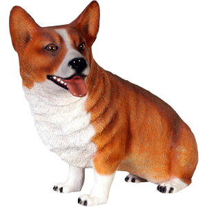 R[M[ Corgi Dog -Sitting vX`bN (FRP) A[gIuWF    u EFV yu[N   O  f tBMA K[fjO CeA Aj} 