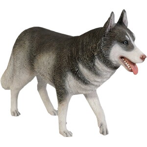 VxAnXL[ Siberian Husky vX`bN (FRP) A[gIuWF  u   O    f tBMA K[fjO CeA Aj}  y K[f I[i