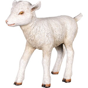 M̐ԂV Goat-Kid Standing vX`bNiFRPj A[gIuWF 킢 Rr   u  € tBMA f CeA Aj} y K[f I[ig   O