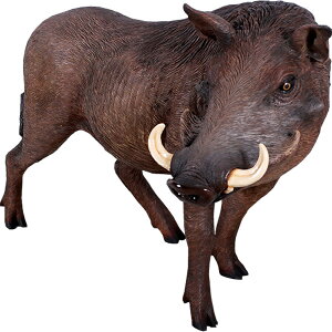 AtJYC{CmVV African Warthog vX`bNiFRPj A[gIuWF  u Aj} y tBMA ̂ A    y K[f I[ig g Ce
