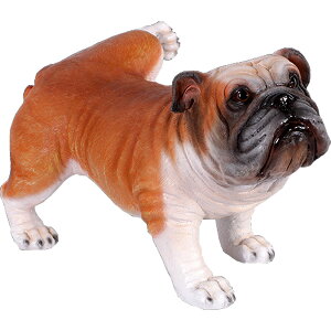 }[LOuhbO Peeing Bulldog vX`bN (FRP) A[gIuWF A  u K[fjO I[ig   O  K[f   f tBMA CeA 