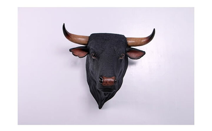 楽天市場】黒毛牛の頭部 壁掛け Spanish Fighting Bull Head 強化 