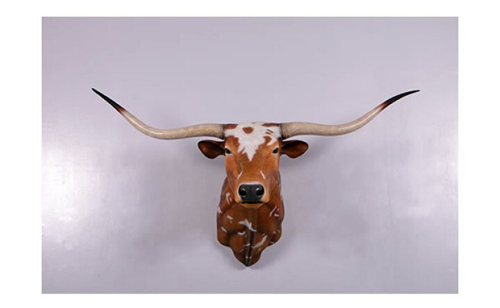 楽天市場】ロングホーン 頭部 Texas Long Horn 強化プラスチック（FRP  