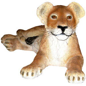 FRPAj}IuWF e^qCI Lion Cub Lying down A 炢   u 킢 tBMA  X CeA JtF iX  K[fjO I[ig 傫 