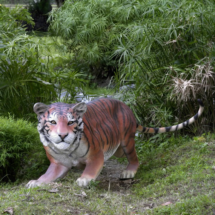 楽天市場】FRPアニマルオブジェ 挑むベンガルタイガー Bengal Tiger 