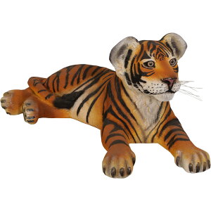 FRPAj}IuWF ߂q^CK[ Tiger Cub Lying Down A g 킢 u     tBMA  K[fjO I[ig X  傫 CeA JtF i