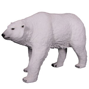 FRPAj}IuWF l_N} Polar Bear A 傫   N}  tBMA g F  u K[fjO I[ig  CeA   O X JtF i