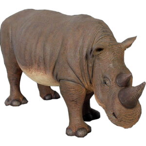 FRPAj}IuWF ^̃TC Rhinoceros Small A    u CeA K[fjO IuWF  X JtF iX Xg HX Cxg y fBXvC  