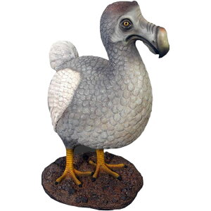 h[h[ Dodo Bird vX`bN (FRP) A[gIuWF A  K[fjO I[ig 傫 u     O O  y svc̍̃AX tBMA Aj}