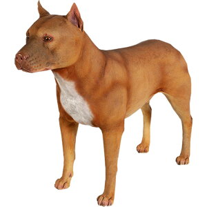 sbgu Pitbull vX`bN (FRP) A[gIuWF A  u  K[fjO I[ig f  O y   Ck  K[f tBMA CeA Aj} 