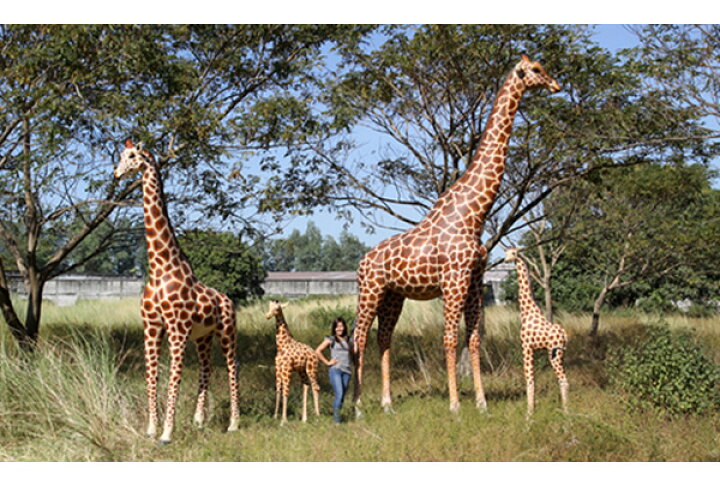 FRPアニマルオブジェ 巨大なキリン Giraffe 18ft リアル 大きい 動物 像 置物 高さ約5m16cm 麒麟 きりん フィギュア 動物園 店舗 カフェ 喫茶店 実物大 ガーデニング オーナメント 庭 屋外 レストラン 飲食店 インテリア 室内 イベント ディスプレイ 等身大