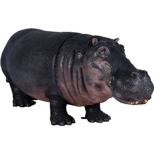 FRPAj}IuWF Jo Hippopotamus A   tBMA   K[fjO I[ig ͔n  CeA 傫 g  u  O X JtF iX Xg