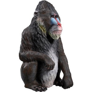 FRPAj}IuWF }h Mandrill   u CeA K[fjO IuWF A  킢 T  X JtF iX Xg HX Cxg f  y f
