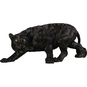 FRPAj}IuWF ubNpT[ Shadowed Predator A NqE   ^ u tBMA  K[fjO I[ig Ђ傤 傫  CeA g Jt