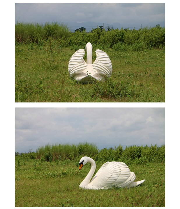 白鳥と円形の樹脂製オブジェ （楽天市場】白鳥 Swan 強化プラスチック 