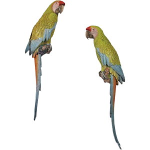 qRSECR 2Zbg Buffonfs Macaws 70cm set of 2 vX`bN (FRP) A[gIuWF Ǌ| A I[ig  u    CeA  O O  y tBM