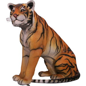 FRPAj}IuWF xK^CK[ Sitting Tiger A g u    傫 tBMA  K[fjO I[ig X  CeA JtF iX  O X