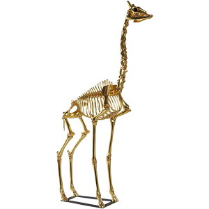 FRPAj}IuWF L̍i S[h Giraffe Skeleton 8ft. A    XPg  i tBMA 傫 u g K[fjO I[ig  CeA X