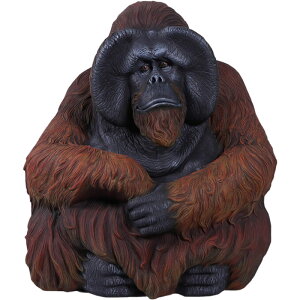 FRPAj}IuWF IE[^ Sitting Orangutan A   u CeA K[fjO IuWF  T  X JtF iX IE[^ Xg HX Cxg 