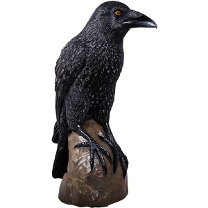 JX Giant Mystic Night Raven vX`bN (FRP) A[gIuWF 1m49cm 傫 K[fjO I[ig A  u G    O O f  y  tBMA 