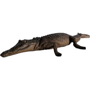 FRPAj}IuWF xNR_C Crocodile Resting 4ft. ̒1m31cm A j u tBMA 唗  k 傫 K[fjO I[ig  낱 CeA 