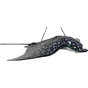 FRPAj}IuWF }_grGC Spotted Eagle Ray CeA   u A I[ig  tBMA 傫   X  JtF iX Xg HX fBX