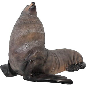 FRPAj}IuWF ỸIbgZC Male Fur Seal A 傫 CeA u Ƃ I[ig    tBMA  g O  X  JtF iX X