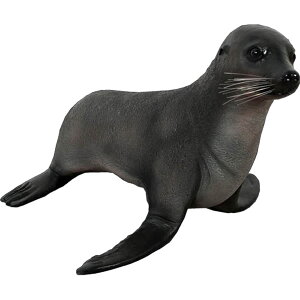 FRPAj}IuWF IbgZC̐Ԃ Baby Fur Seal A 킢 CeA u I[ig 傫 Ƃ     tBMA g O  X  J