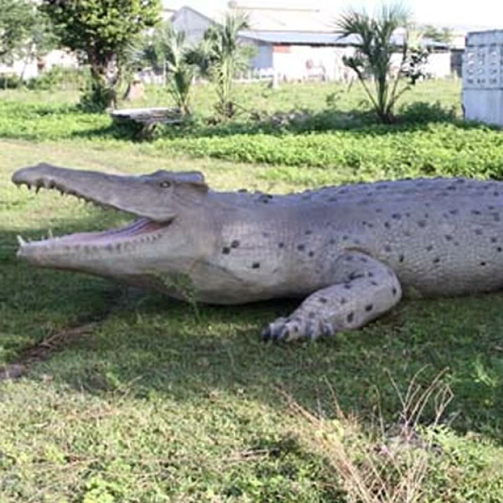 楽天市場】FRPアニマルオブジェ 巨大クロコダイル Crocodile  