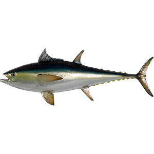 FRPアニマルオブジェ マグロ Bluefin Tuna リアル 実物大 鮪 まぐろ 大きい インテリア 置物 軽量 オーナメント 水族館 魚 動物 像 フィギュア 等身大 屋外 動物園 店舗 室内 カフェ 喫茶店 レスト