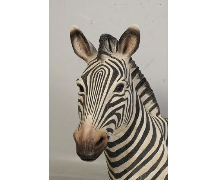 楽天市場】FRPアニマルオブジェ シマウマのベンチ Zebra Seat ベンチ 