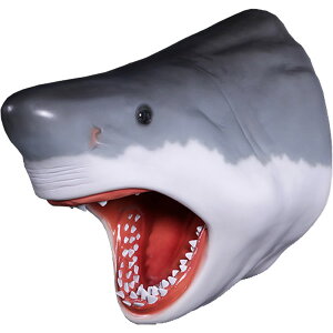 FRPAj}IuWF W[Y̓ Great White Shark's Head A L CeA ǖ Ǌ| I[ig u T       tBMA g O  X  J