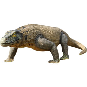 FRPIuWF IIgJQ KjA Megalania A o|j Lؖ gJQ IIgJQ ঒ށ@ u  tBMA 傫 W{  X  iX Xg 