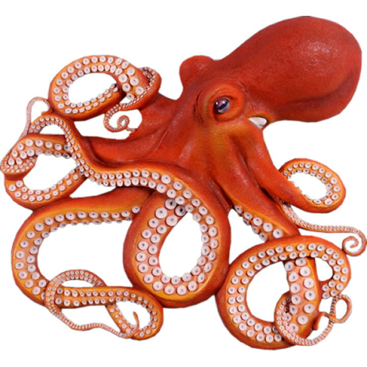 楽天市場】FRPアニマルオブジェ 壁掛け用 巨大なタコ Octopus Wall 
