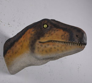 FRPIuWF Ǌ|e|bh Theropod Head Wall Decor A EH[ I[ig u  CeA tBMA 傫 W{   X K[f  iX Xg 