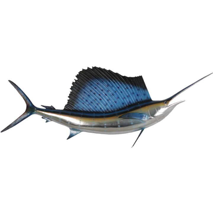 楽天市場】FRPアニマルオブジェ 芭蕉カジキ Sailfish 5ft. リアル 魚 