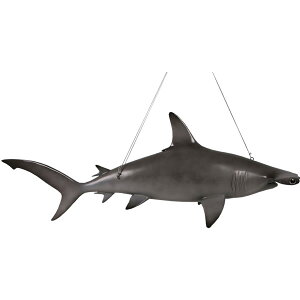 FRPAj}IuWF n}[wbhV[N Scalloped Hammerhead Shark 6ft A VNU u CeA I[ig  傫 tBMA   L K[fjO g 