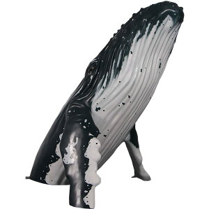 FRPAj}IuWF Wv邴Ƃ Breaching Humpback Whale A UgENW u tBMA  CeA  ~ K[fjO I[ig g 傫  O 