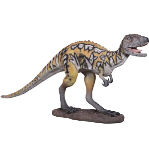 FRPIuWF AEXgFig Australovenator A H u IO brދ  AEXgxig tBMA 傫 W{  X  iX Xg 