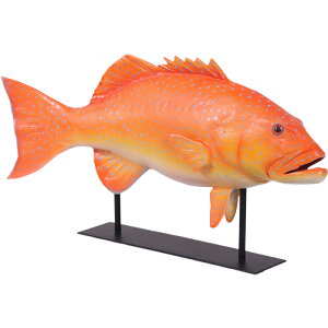 FRPAj}IuWF R[gEg X^ht Coral Trout on Metal Stand CeA u A I[ig tBMA  XWA AJW  傫   X  