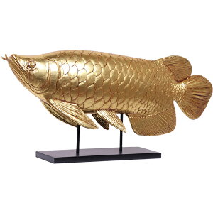 FRPAj}IuWF Ai S[h Arowana u A CeA I[ig tBMA   傫     X  JtF iX Xg HX 
