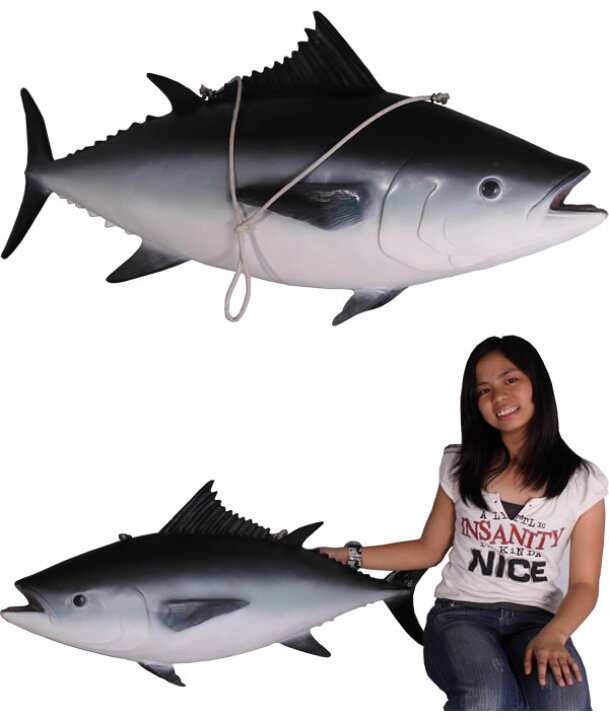 楽天市場】FRPアニマルオブジェ 本マグロ Tuna Fish リアル まぐろ 