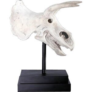FRPIuWF gPgvX̓ Triceratops Skull on Base 59cm H A W{  u I  p tBMA X CeA iX Xg HX  