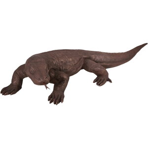 FRPAj}IuWF RhhS ubN Komodo Dragon RhIIgJQ A  u  ঒ tBMA 傫 K[f I[ig X  iX Xg HX 