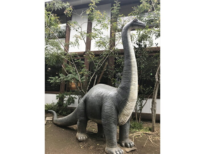 楽天市場】FRP恐竜オブジェ 草原のブロントザウルス Brontosaurus 高さ 