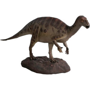 FRPIuWF xCr[COAmh Baby Iguanodont 44cm A H u CeA I W{ r   tBMA g X iX Xg HX  