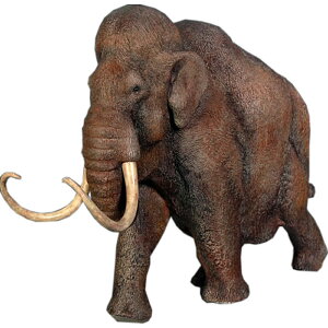 FRPIuWF ~j`A }X Mammoth 48cm A u CeA W{   tBMA g X iX Xg HX   Cxg fBXvC fr110