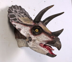 FRPIuWF ^ŃgPgvX̓ Definitive Triceratops Head Ǌ| A H u I p W{   tBMA X 傫  CeA iX Xg 