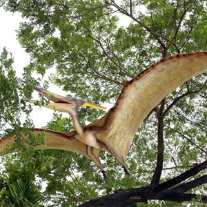 FRPIuWF vemh Giant Pteranodon 7m55cm A  I  W{   u tBMA X 傫 K[f  I[ig iX Xg HX 